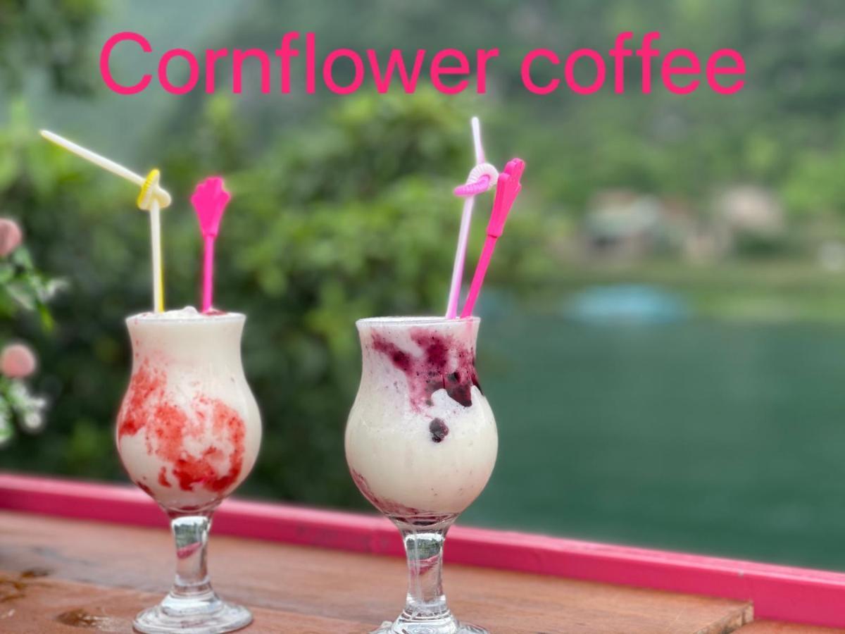 Cornflower Homestay Phong Nha Exterior photo